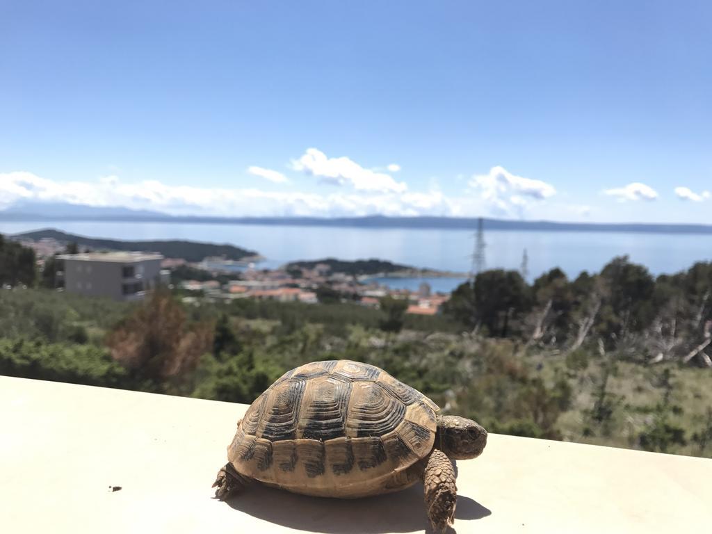 Apartment G.V. 1 Makarska Dış mekan fotoğraf